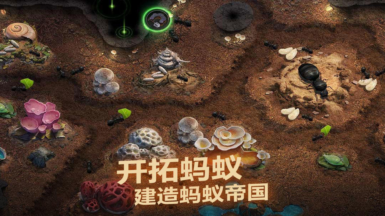 小小蚁国正式版