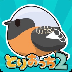 小鸟观察2ios版