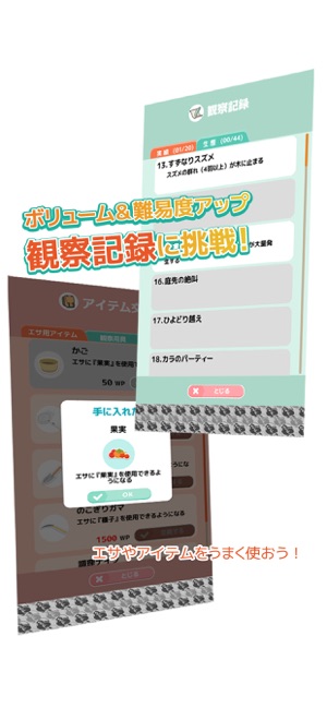 小鸟观察2ios版