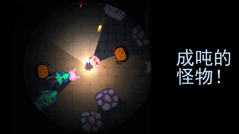 黑域生机ios版 V1.3.8