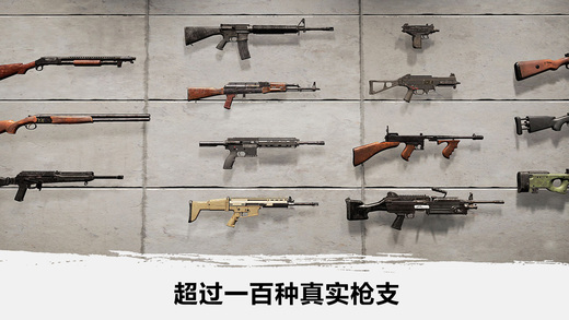绝地吃鸡ios版