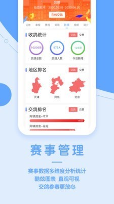 信鸽纵横网页版