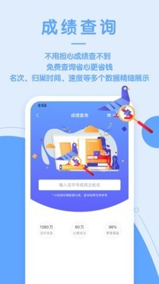 信鸽纵横网页版