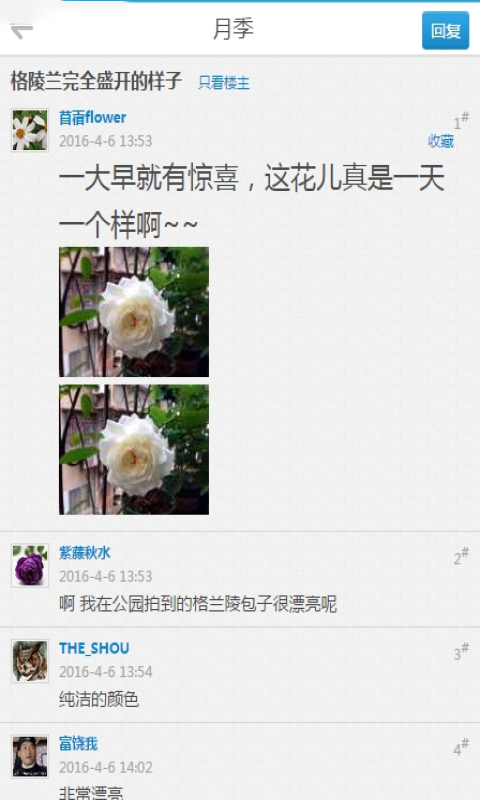 陌上花论坛去广告版