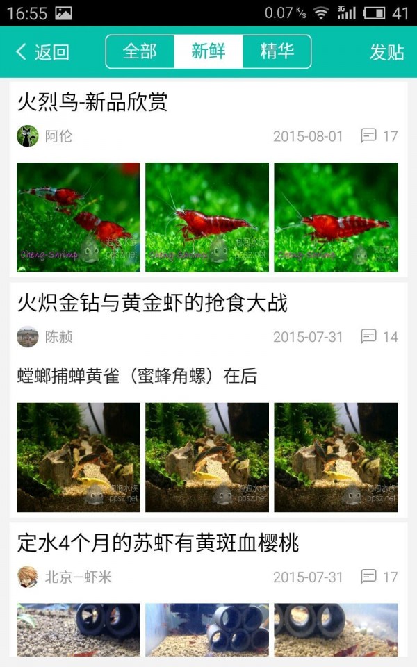 泡泡水族免费版