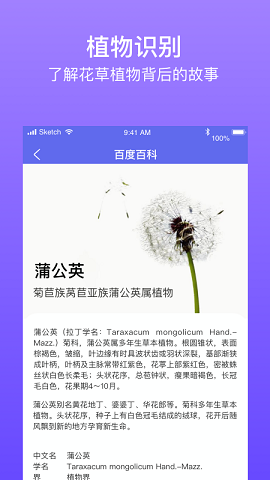 拍拍识图识字安卓版