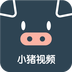 小猪视频官方版