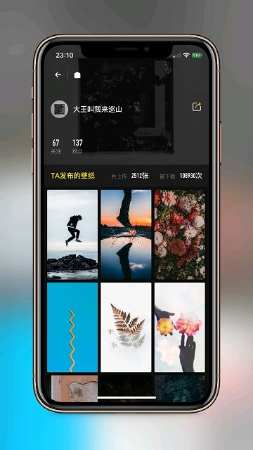 纸塘壁纸安卓版
