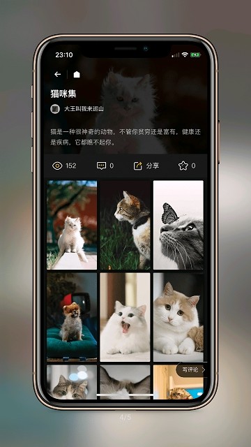 纸塘壁纸安卓版