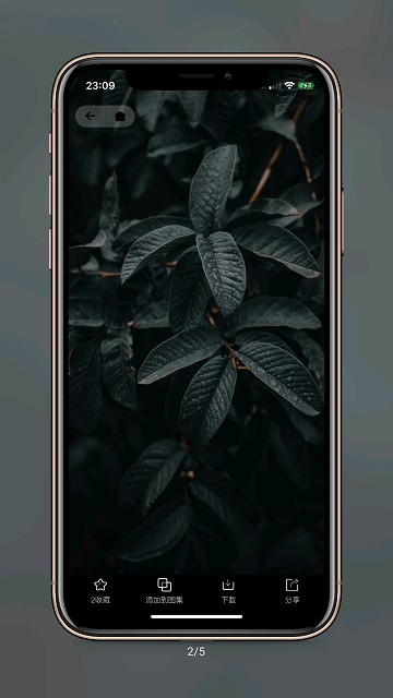 纸塘壁纸安卓版 V1.0.0