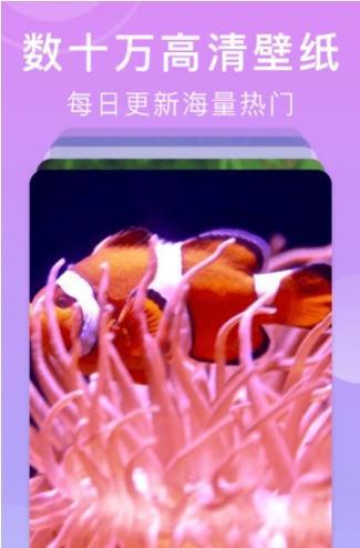 壁纸全能王安卓版