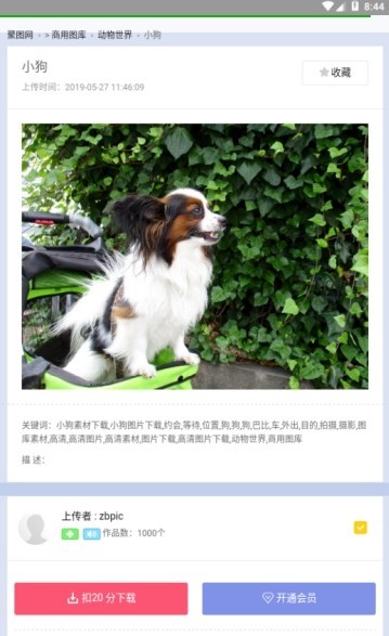 聚图库网页版