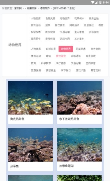 聚图库网页版