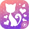 猫小姐直播间免费版