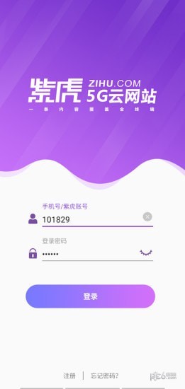 紫虎5G云纯净版