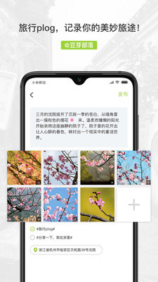 豆芽部落安卓版