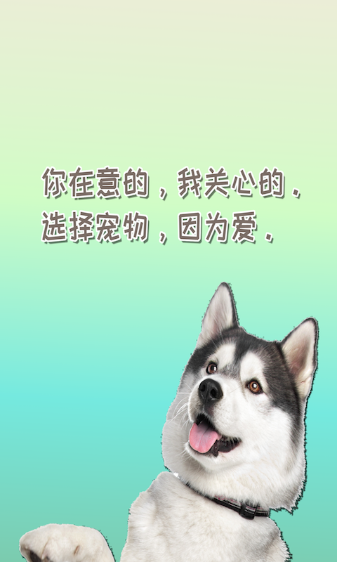 米族人狗交流器极速版