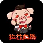拉菲直播高清版