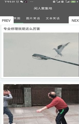 闲人聚集地安卓版 V1.0