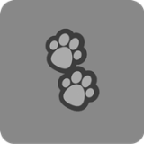 QR绘画App免费版