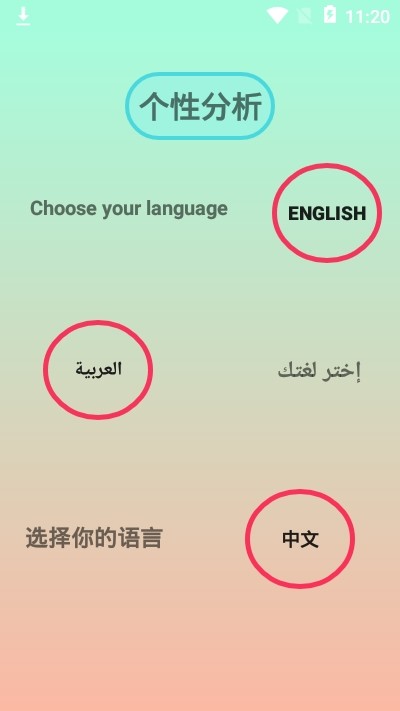 个性分析网页版