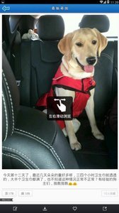 囧图太搞笑去广告版