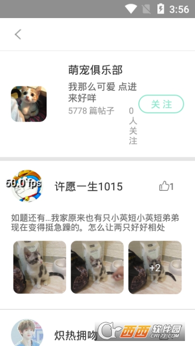 出格App在线版