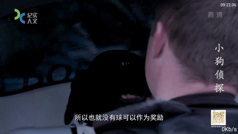螺丝直播在线版