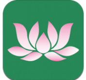 莲花停车极速版