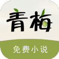 青梅免费小说精简版