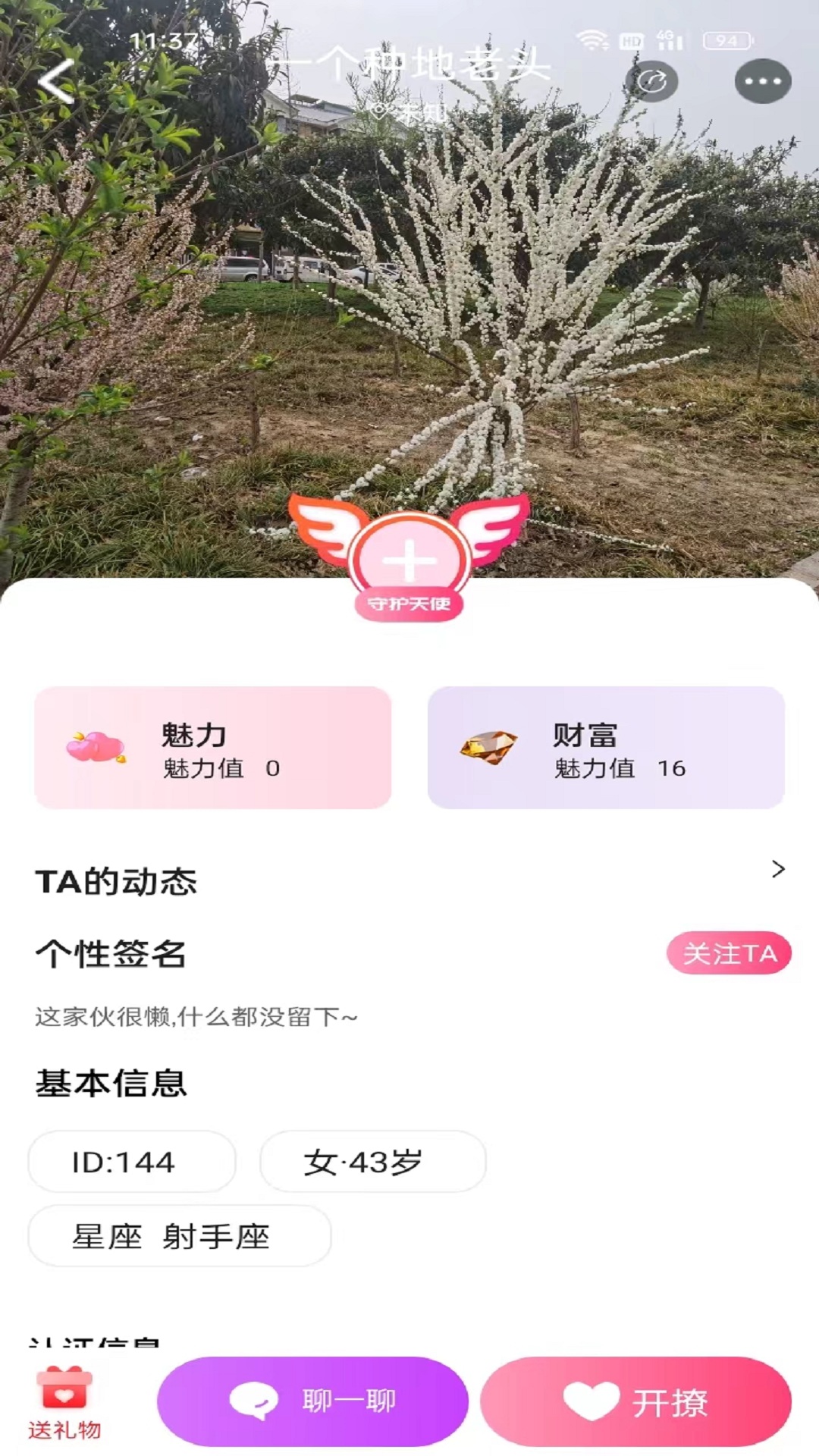 同城蜜伴纯净版
