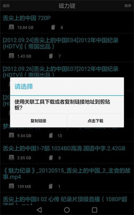 p2psearcher精简版