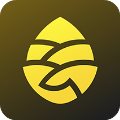 松果出行在线版