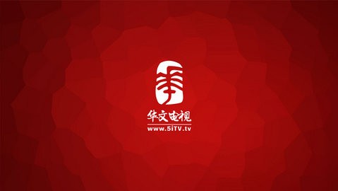 华文电视完整版