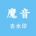 魔音智能去水印破解版