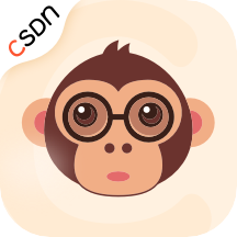 csdn精简版