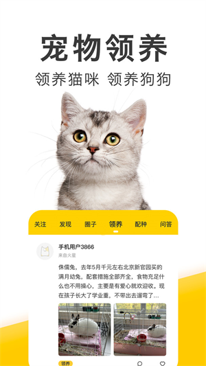 有只宠物经典版