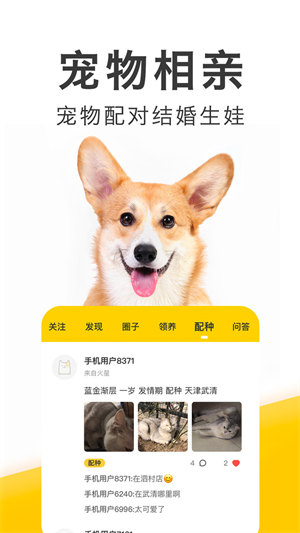 有只宠物经典版