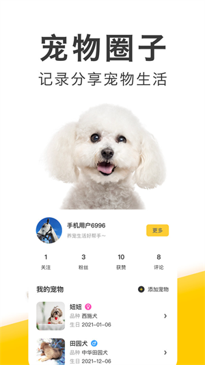 有只宠物经典版