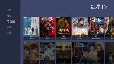 红星TV电视版截图3