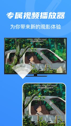 烟花播放器免费播放版截图2