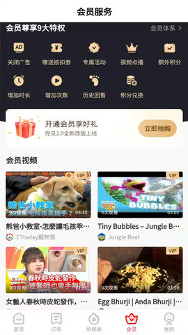 兜见视频官方版截图3