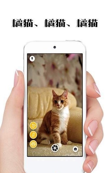 极简猫咪相机官方版截图2