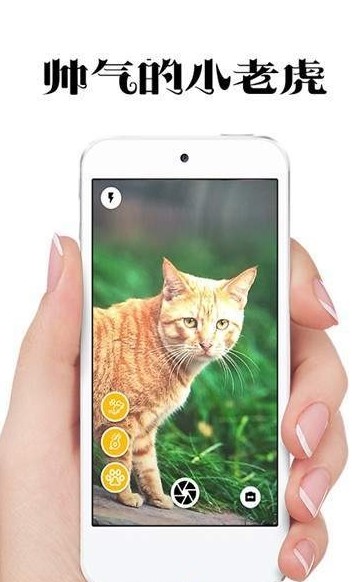极简猫咪相机官方版截图3