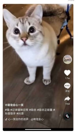 全民刷刷免费看版截图3