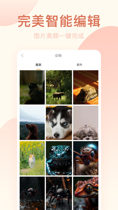 剪映相机app本极速版截图2