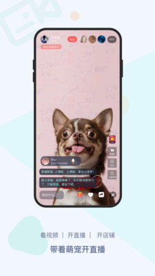 龙平台影视免费版截图3
