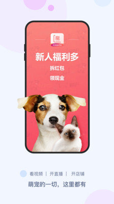 龙平台影视免费版截图2