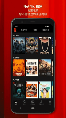 Netflix影视永久免费版截图2