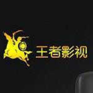 王者影视免费看版